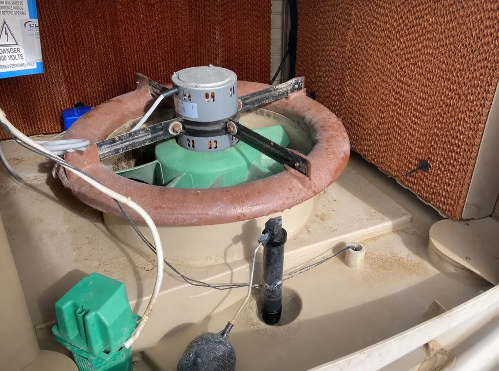 bonaire filter pad replacement