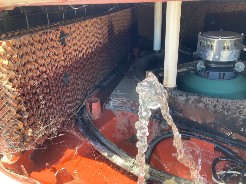 braemar fishy smell