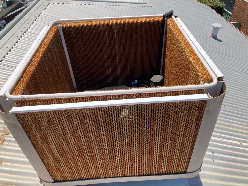 evaporative cooler summer startup service